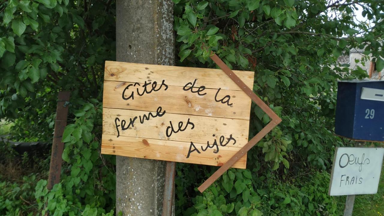 Gite Familial Ferme Des Aujes Falaen Onhaye Bagian luar foto