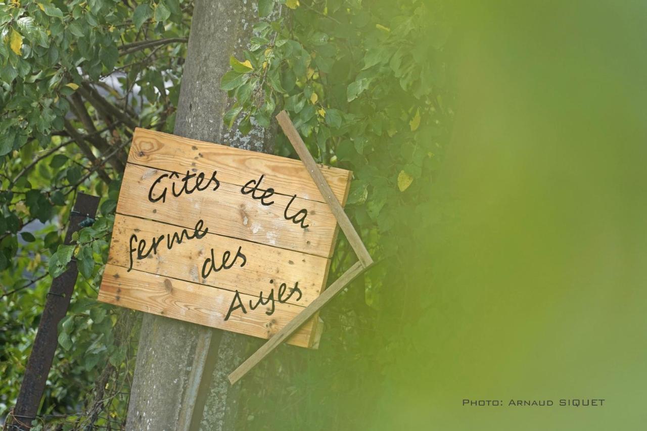 Gite Familial Ferme Des Aujes Falaen Onhaye Bagian luar foto