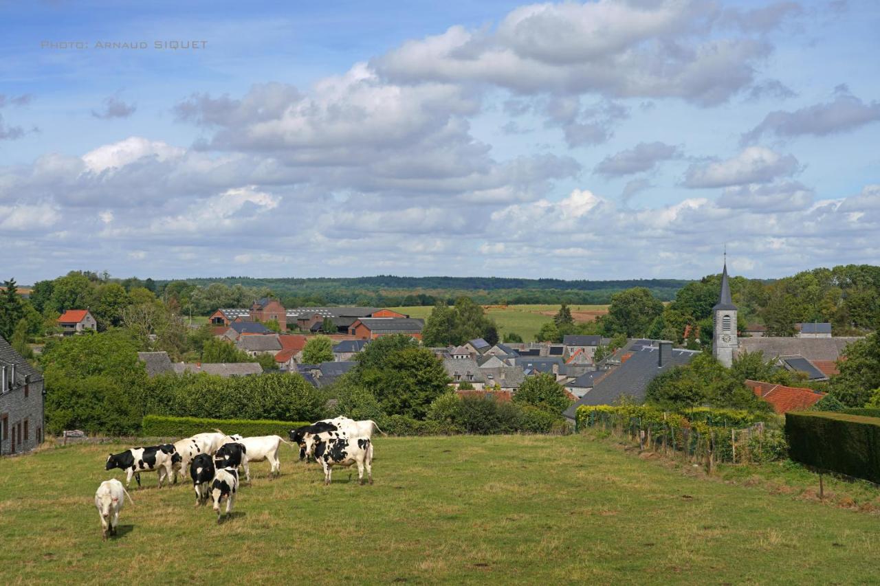 Gite Familial Ferme Des Aujes Falaen Onhaye Bagian luar foto